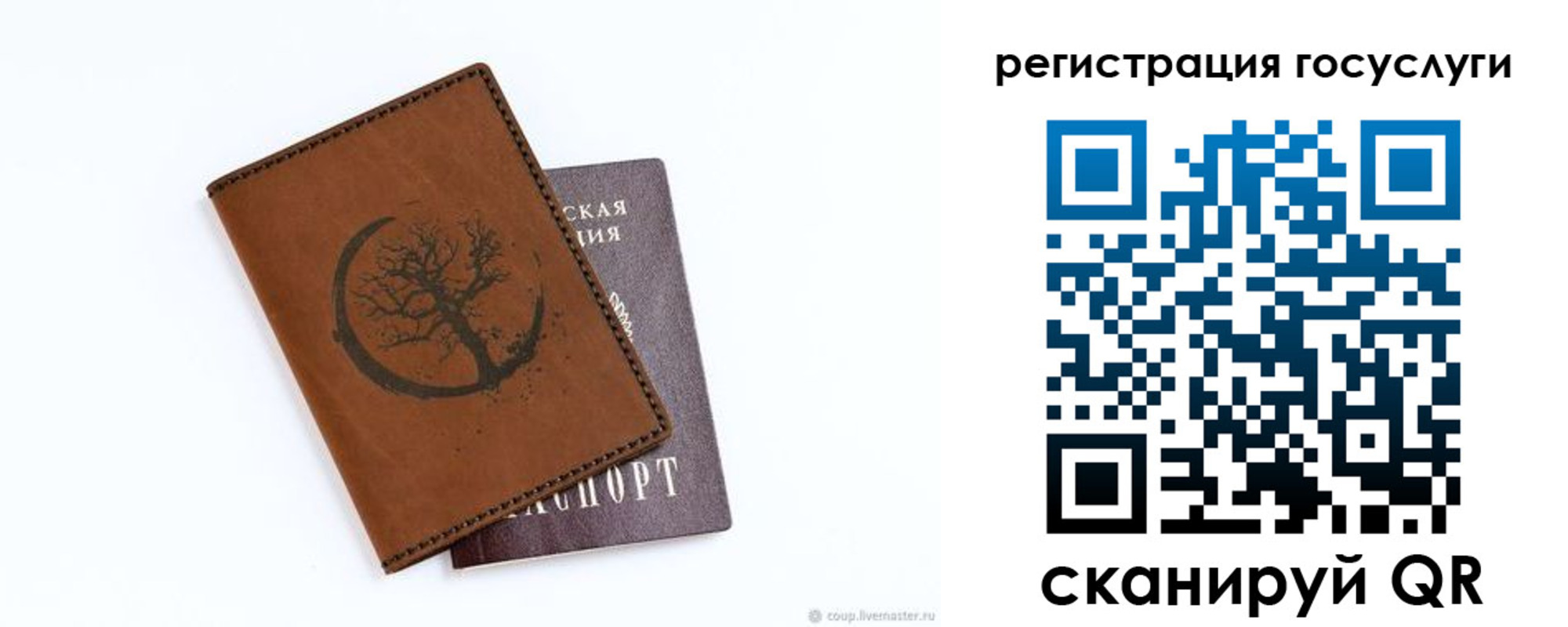 прописка для школы в Жукове
